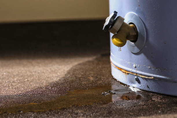  Lindon, UT Water damage restoration Pros