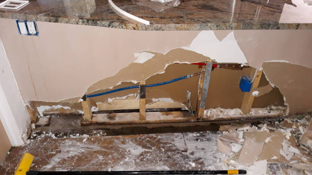 Best Mold removal after water damage  in Lindon, UT