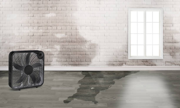 Best Commercial water damage restoration  in Lindon, UT