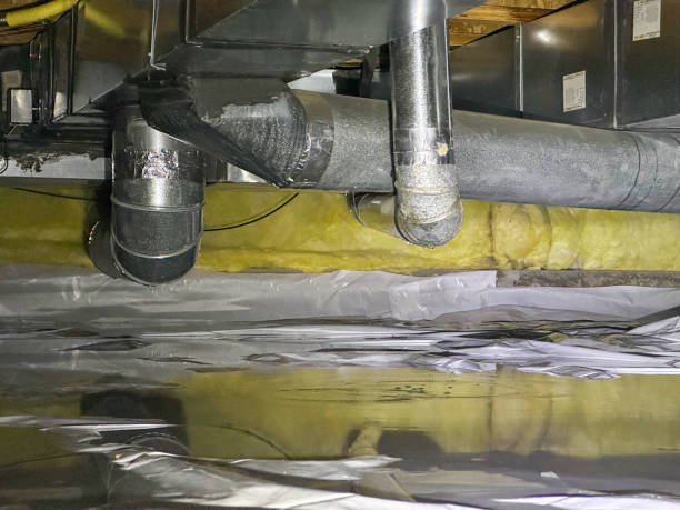 Best Water damage repair service  in Lindon, UT