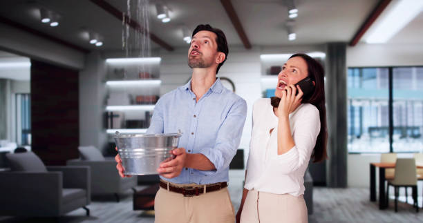Best Local water damage restoration  in Lindon, UT